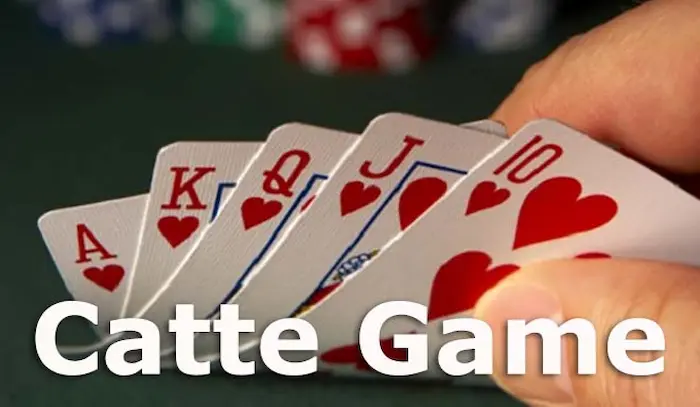 How to play 6 card Catte